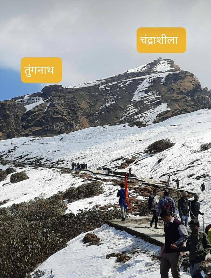 Pandava'S Cafe & Stay Chopta Εξωτερικό φωτογραφία